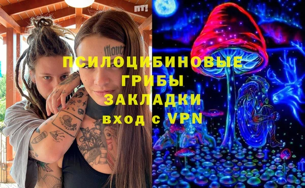 спайс Инсар