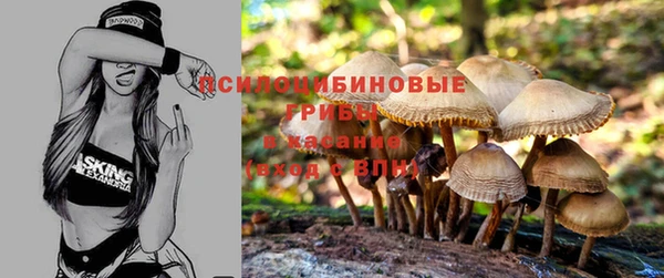 соль ск Каменка