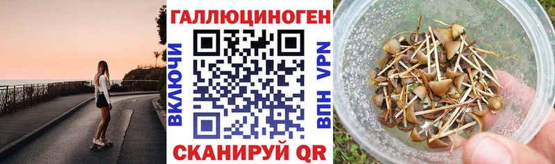 Псилоцибиновые грибы прущие грибы Клин